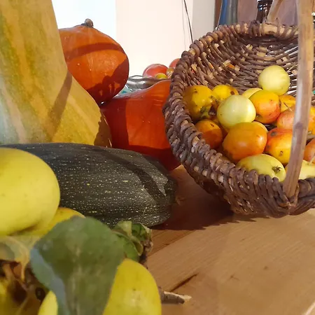 Hotel Rural Las Encinas-2